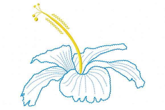 Charming Hibiscus