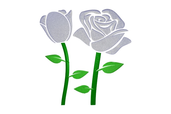 Double Rose