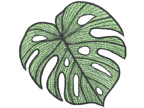 Elephant Ear Leaf