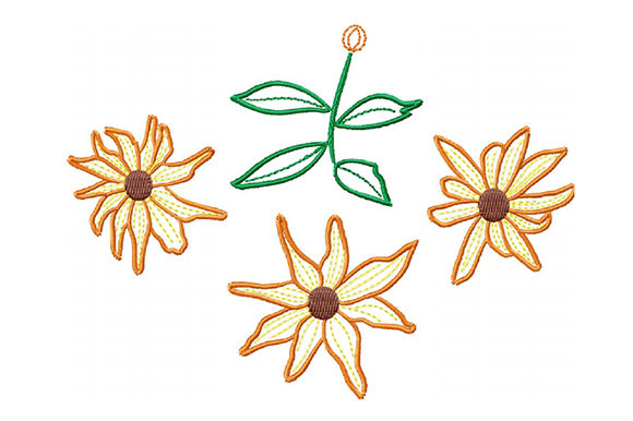 Fire Daisies