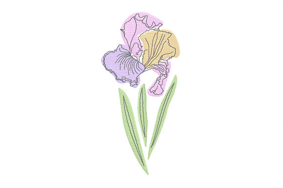 Pastel Iris Flower