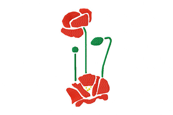 Poppy Flowers