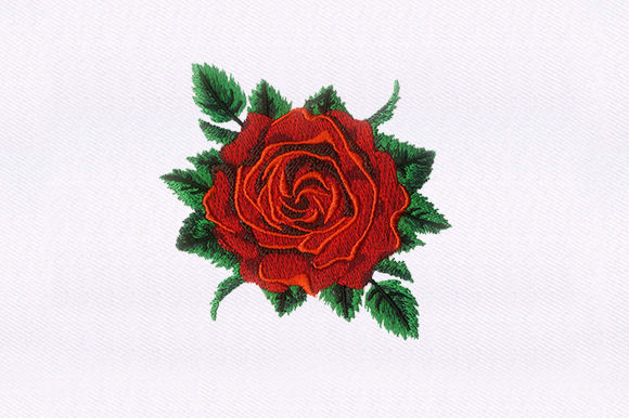 Red Rose
