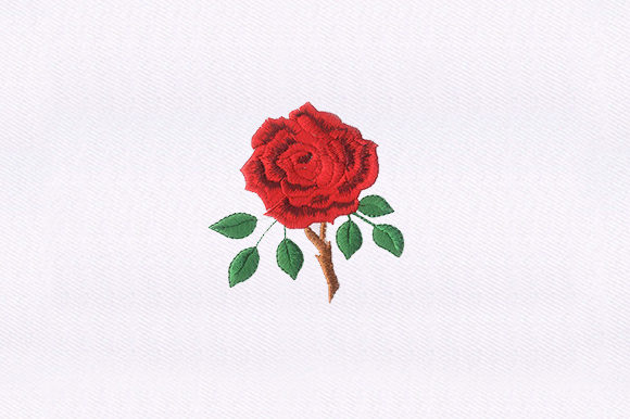 Thorny Red Rose