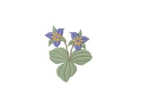 Trillium